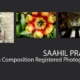 Saahil Prasad