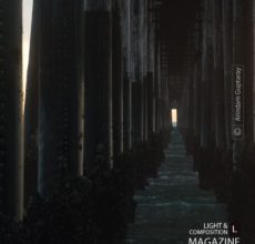 Under The Boardwalk by Arindam Guptaray