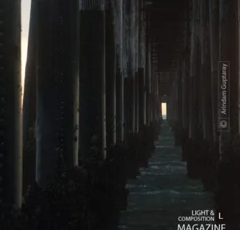 Under The Boardwalk by Arindam Guptaray