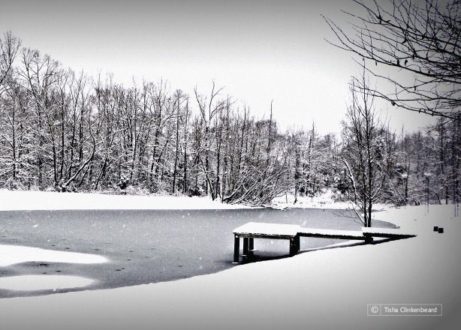 Snowy Winter Day, by Tisha Clinkenbeard - Nature Photography, Photography Awards, Winter Photography, Photo of the Day, Light & Composition University