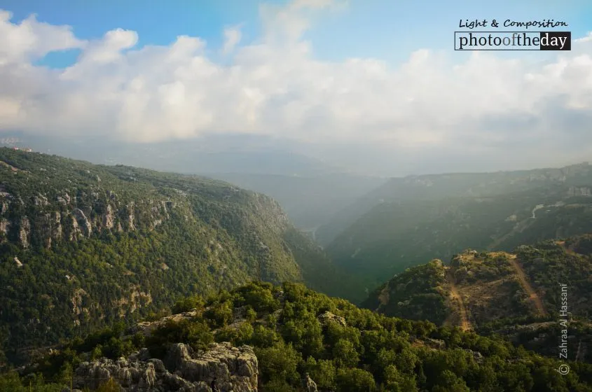 The Beauty of Faytroun by Zahraa Al Hassani