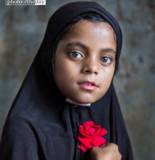 The Girl with a Red Rose, by Shahnaz Parvin - Photojournalism, Portrait Photography, Documentary Photography, Award Winning Photography, Photography Awards
