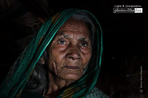 Portrait of An Old Lady by Badrul Alam Shamim