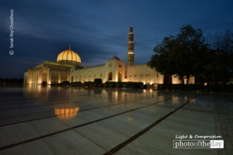 Blue Grandeur by Sanak Roy Choudhury