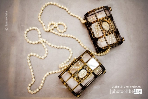 The Elegance of Pearls by Tanmoy Saha