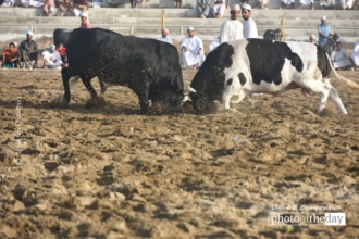The Avalanche by Sanak Roy Choudhury