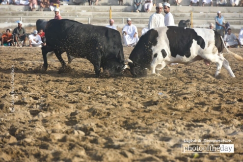 The Avalanche by Sanak Roy Choudhury