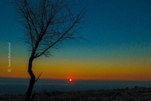 Watching a Beautiful Sunset, by Bawar Mohammad - Sunset Photography, Photography Awards, Photo of the Day,  Art Photography, Online Photography Courses