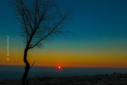 Watching a Beautiful Sunset by Bawar Mohammad