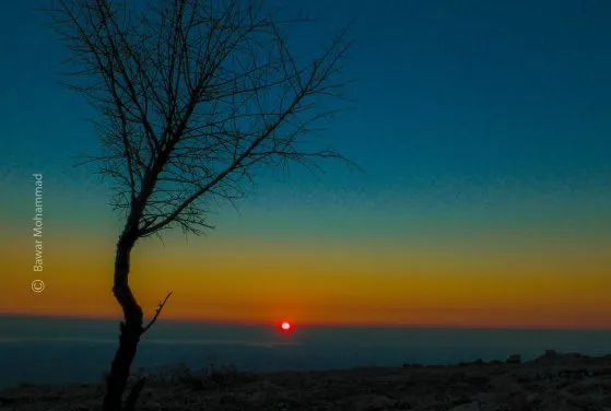 Watching a Beautiful Sunset by Bawar Mohammad