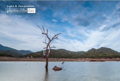 Alone, by Sanjoy Sengupta - Nature Photography, Photo of the Day, Photography Awards, Art Photography, Online Photography Courses