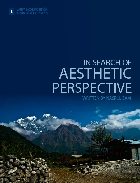 In Search of Aesthetic Perspective