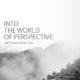 Into the world of perspective cover