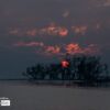 The Sunset at Sundarban, by Tanmoy Saha - Sunset Photography, Photography Awards, Photo of the Day, Landscape Photography, Sundarbans