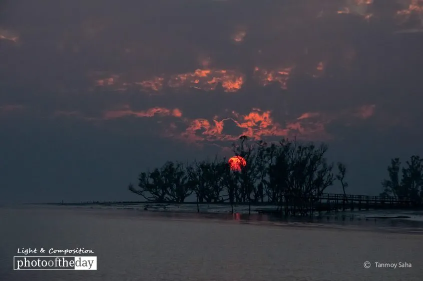The Sunset at Sundarban by Tanmoy Saha