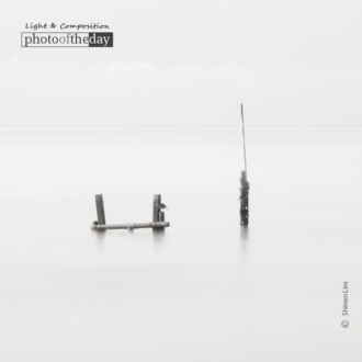 . . . And the Bird Makes Four, by Shirren Lim - Black and White Photography, Seascape Photography, Award Winning Photography, Photo of the Day, Photography Courses