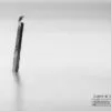 The Kingfisher, by Shirren Lim - Photojournalism, Photography, Black and White Photography, Award Winning Photography, Kingfisher
