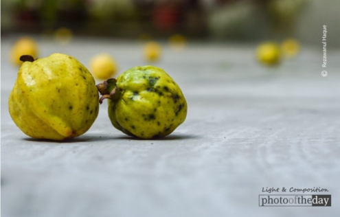 Ripe by Rezawanul Haque