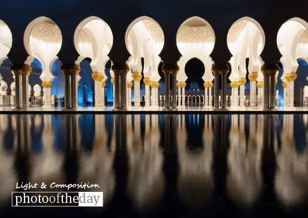Photo of the Month — July 2015