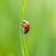 s07072015 1n