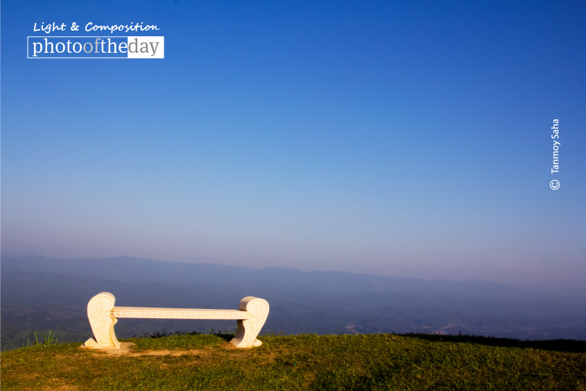 A Lazy Evening at Neelgiri, by Tanmoy Saha A Lazy Evening at Neelgiri, by Tanmoy Saha