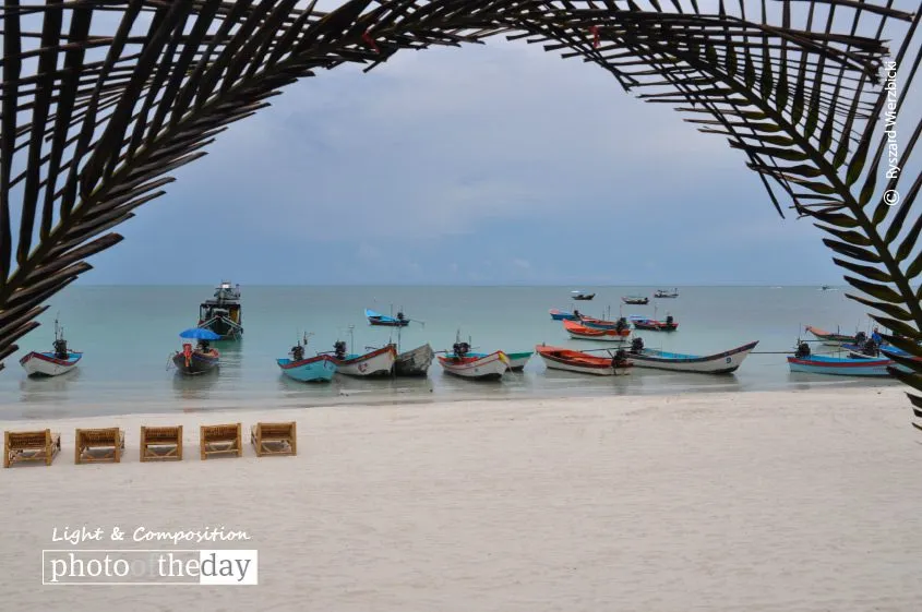 The Full Moon Party Beach - Gate by Ryszard Wierzbicki
