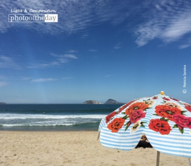 My Private Paradise, by Patricia Saraiva - Photography Awards, Still Life Photography, Photo of the Day, Art Photography, Online Photography Courses