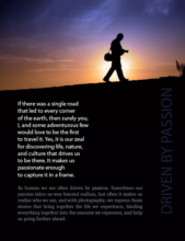 Driven by Passion - Photography Awards, Photojournalism, Art Photography, Online Photography Courses, Photography Education