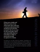 Driven by Passion - Photography Awards, Photojournalism, Art Photography, Online Photography Courses, Photography Education