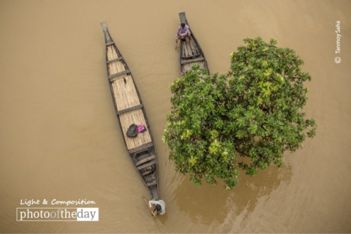 In the Middle of Nowhere, by Tanmoy Saha - Aerial Photography, Nature Photography, Photo Award, Photography Courses, Light & Composition