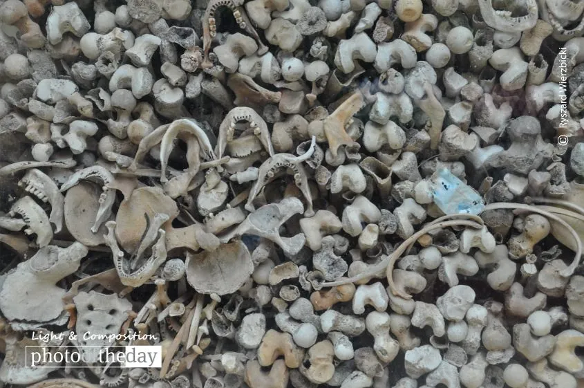 Bones and Jaws, by Ryszard Wierzbicki - Documentary Photography, Photojournalism, Cambodia, Killing Fields, Ryszard Wierzbicki