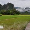A Path across the Rice Field, by Ryszard Wierzbicki - Travel Photography, Award Winning Photography, Landscape Photography, Photo of the Day, Rice Field Photography