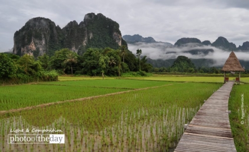 A Path across the Rice Field, by Ryszard Wierzbicki - Travel Photography, Award Winning Photography, Landscape Photography, Photo of the Day, Rice Field Photography