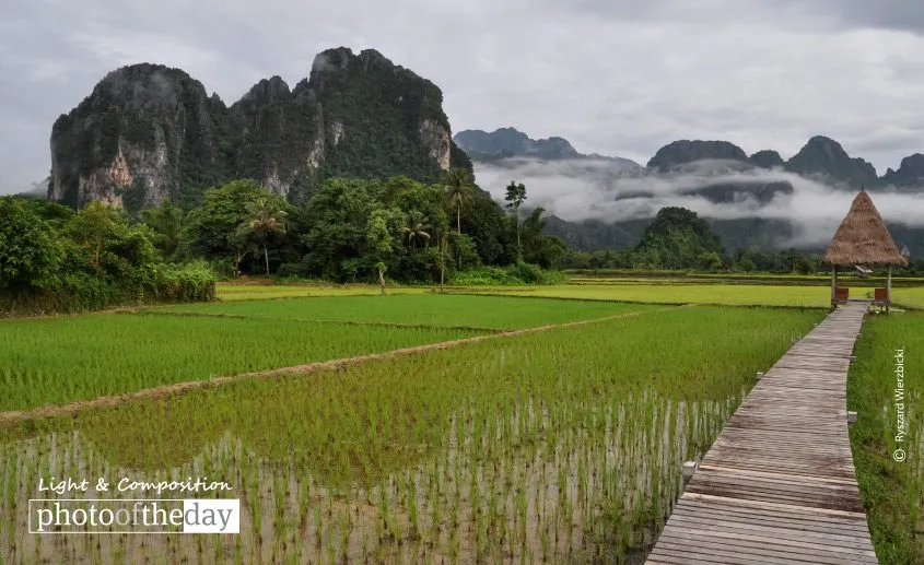 A Path across the Rice Field by Ryszard Wierzbicki