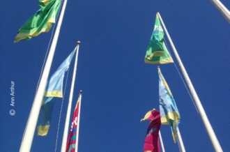 Long May I Wave by Ann Arthur