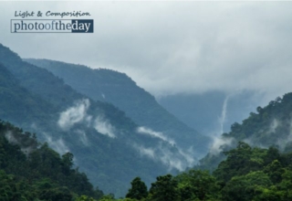 A Pleasant View by Tanmoy Saha