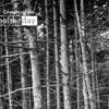 Barking 2, by Keith Goldstein - Black and White Photography, Photography Awards, Photojournalism, Art Photography, Photography Education