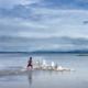 Chasing Geese, by Shahnaz Parvin