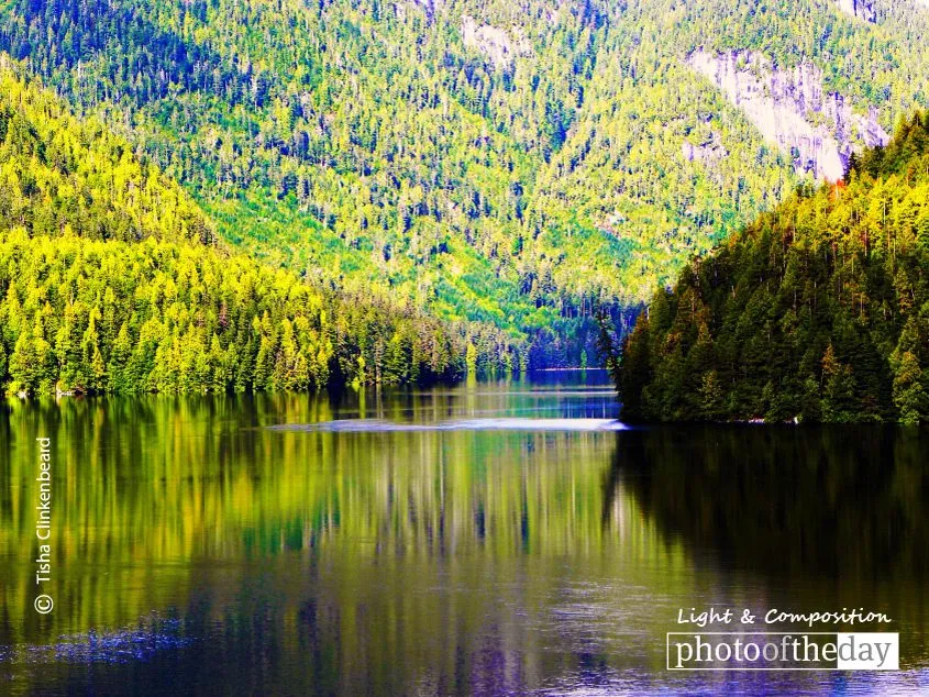 Alaskan Reflection by Tisha Clinkenbeard