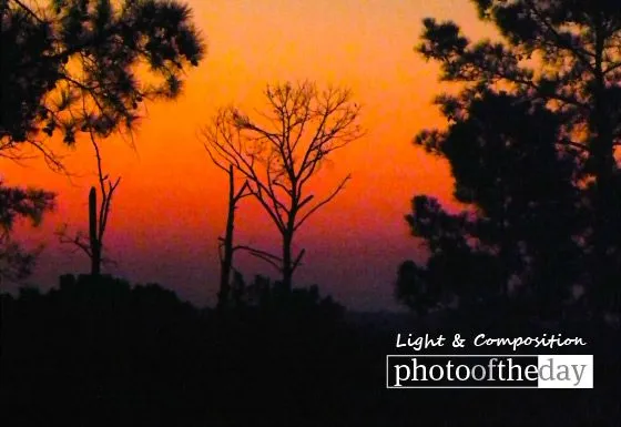 Birthday Sunrise in Texas by Tisha Clinkenbeard