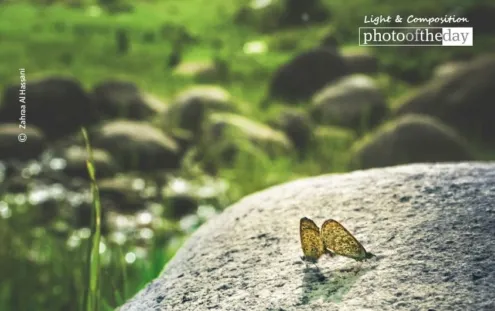Butterfly Smile by Zahraa Al Hassani
