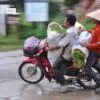 Seedlings Delivery by Ryszard Wierzbicki