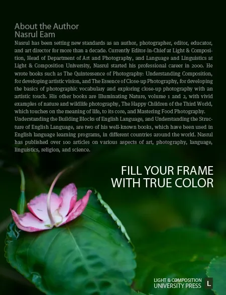 Fill Your Frame with True Color - Photography, Color Photography, Color Theory, Digital Photography, Online Photography Courses