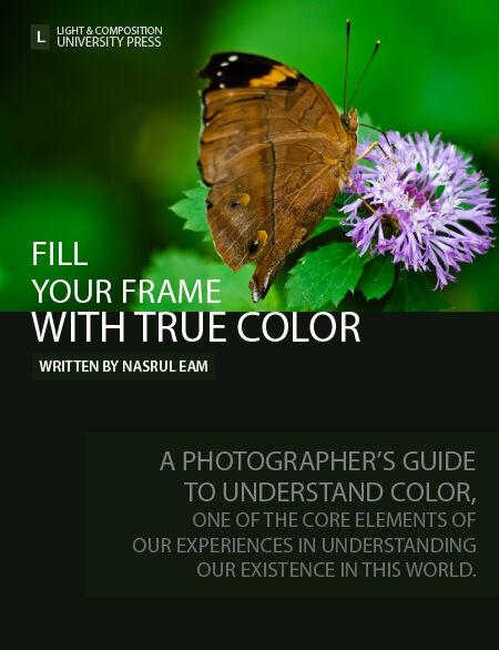 Fill Your Frame with True Color