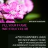 Fill Your Frame with True Color - Photography, Color Photography, Color Theory, Digital Photography, Online Photography Courses