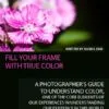 Fill Your Frame with True Color - Photography, Color Photography, Color Theory, Digital Photography, Online Photography Courses