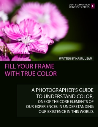 Fill your frame with color cover 01