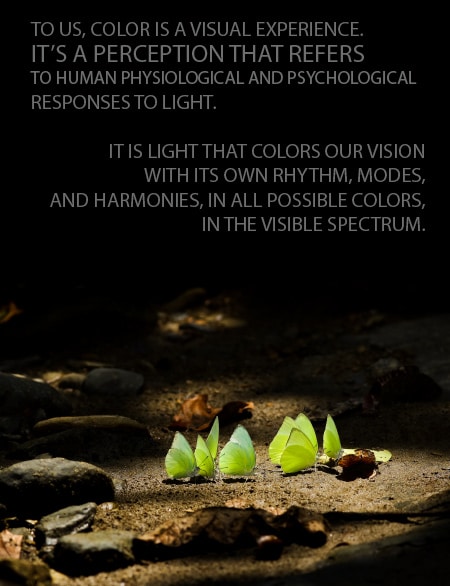 Fill Your Frame with True Color