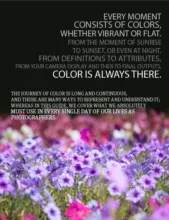 Fill Your Frame with True Color - Photography, Color Photography, Color Theory, Digital Photography, Online Photography Courses