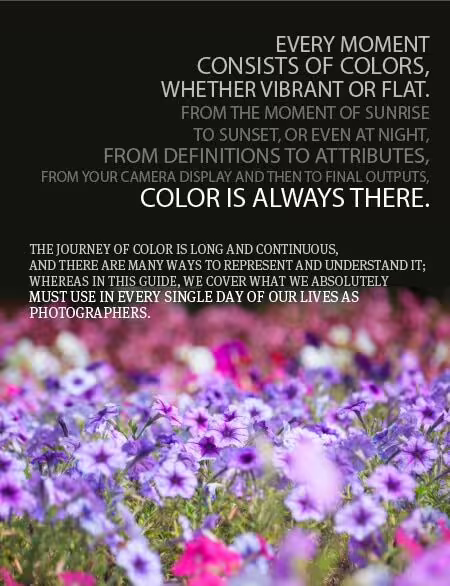 Fill Your Frame with True Color - Photography, Color Photography, Color Theory, Digital Photography, Online Photography Courses